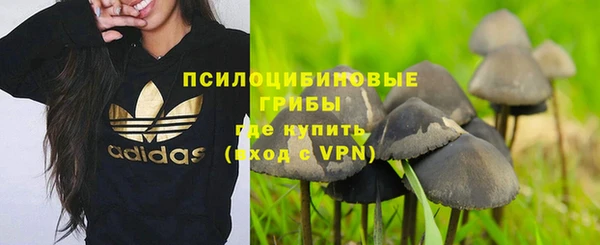 круглые Богданович