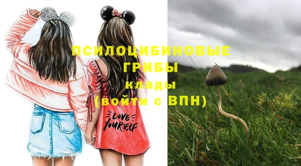 марки lsd Богородицк