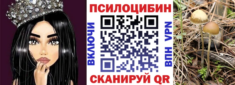 Галлюциногенные грибы мухоморы  что такое   Кедровый 